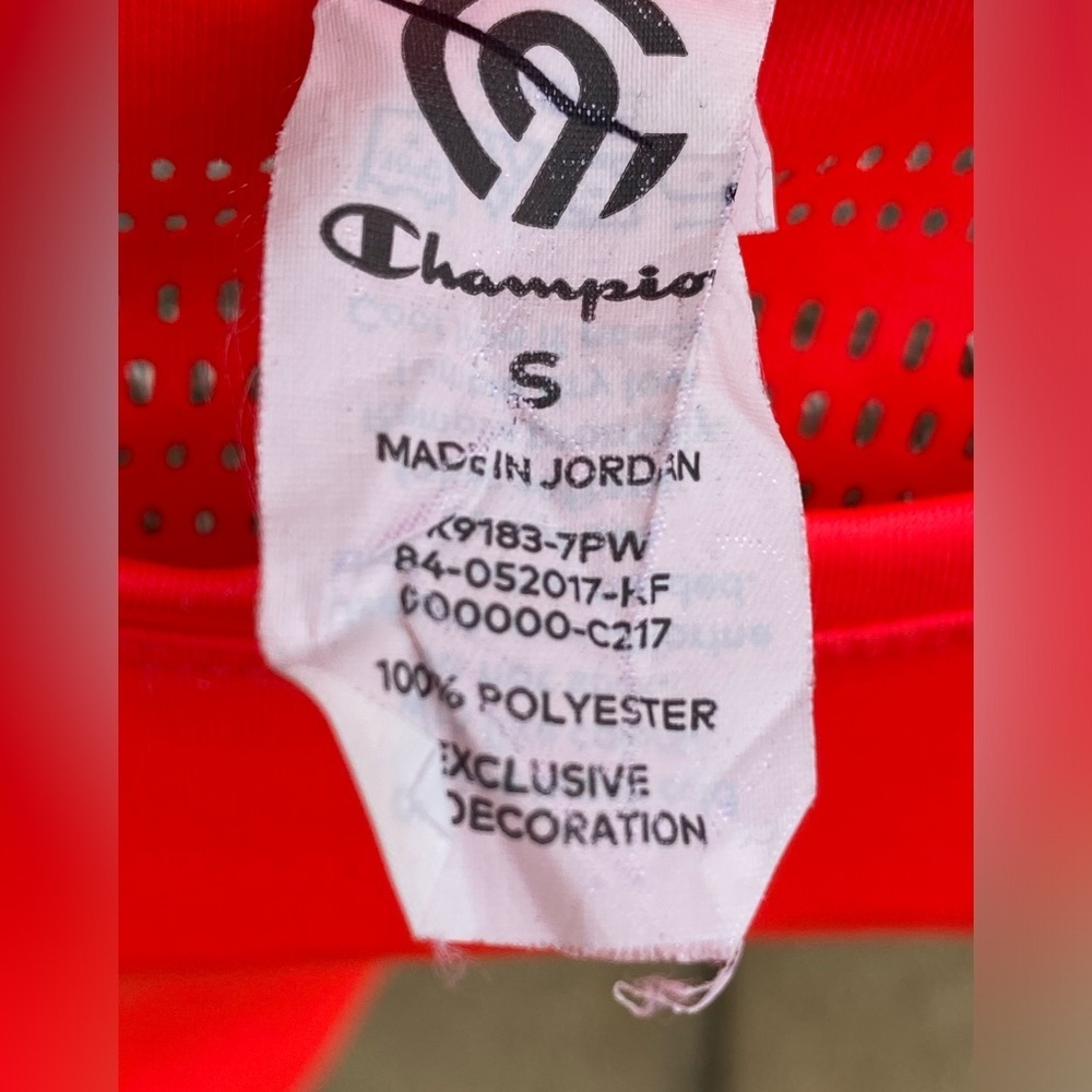 Champion - Picture 9 of 10